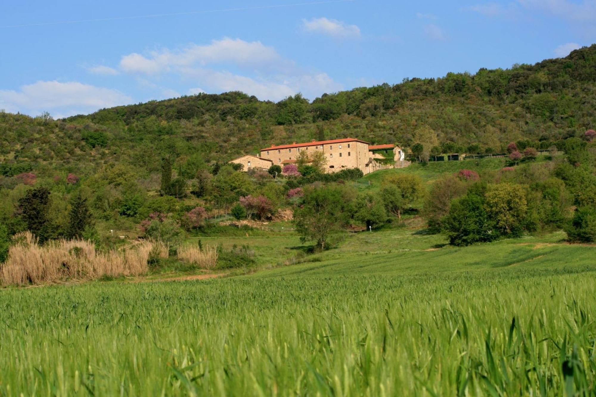 Agriturismo San Ottaviano Monterotondo  ภายนอก รูปภาพ
