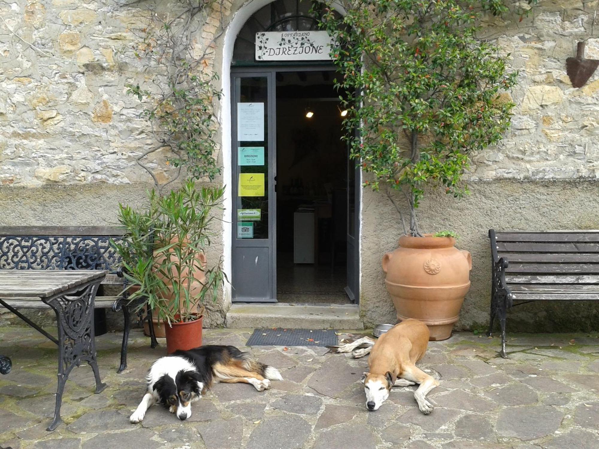 Agriturismo San Ottaviano Monterotondo  ภายนอก รูปภาพ